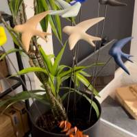 Nos prestations sur le secteur de Luxembourg 1111